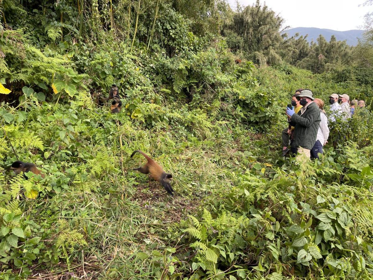 Virunga Homes Ruhengeri Luaran gambar