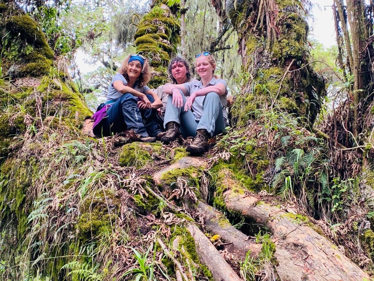 Virunga Homes Ruhengeri Luaran gambar